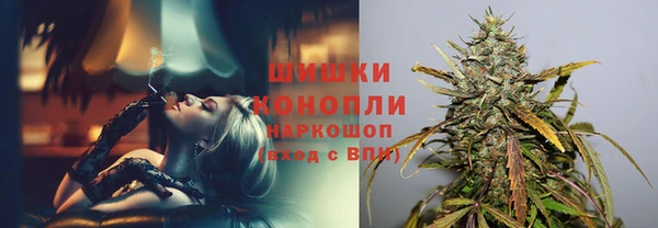 крисы Абаза