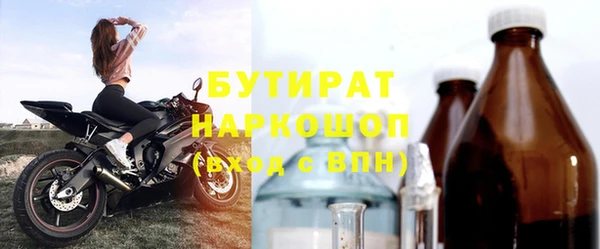 индика Алексин