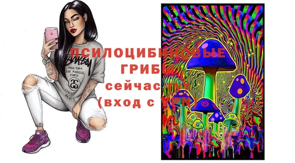 ECSTASY Алзамай