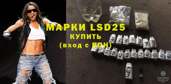 индика Алексин