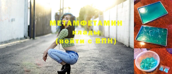 индика Алексин