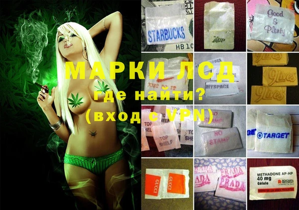 индика Алексин