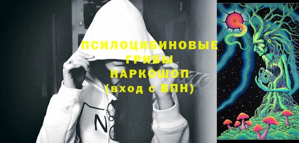 ECSTASY Алзамай