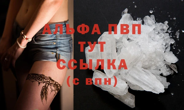 индика Алексин