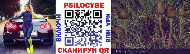 Псилоцибиновые грибы мухоморы  Сольцы 
